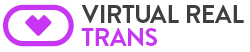 Virtual Real Trans logo